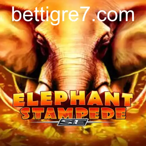 ElephantStampedeSE